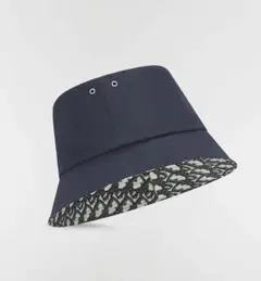 Item thumbnail for item a3155510-d417-4d47-91a8-674ae0e6e144