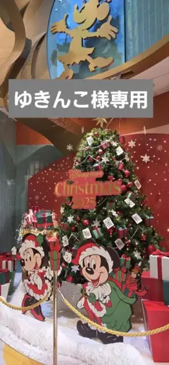 ゆきんこ様専用です