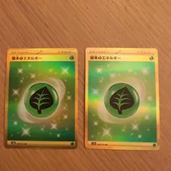 Item thumbnail for item 2052ce81-8af6-4869-9068-b8d41ea7b22a