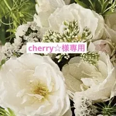 cherry☆仕事多忙中/プロフ必読様 リクエスト 2点 まとめ商品