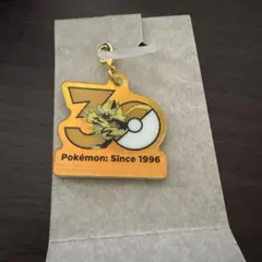 ポケチャーム ポケモン30周年ロゴマスコット ゼラオラ