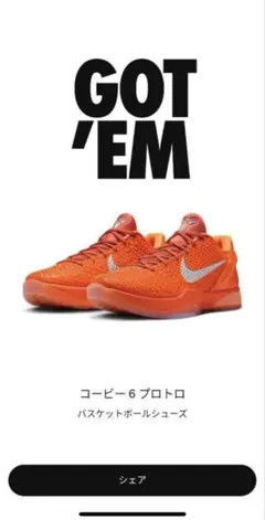 ナイキ コービー 6 プロトロ バスケットボールシューズ troishomme_st-dh9888-600--265