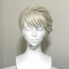 2026年最新】エルサ ウィッグ 戴冠式の人気アイテム - メルカリ