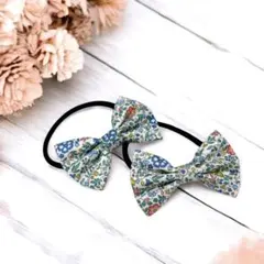 Item thumbnail for item 4f3ad137-cf7e-44a9-864e-a562022a2777