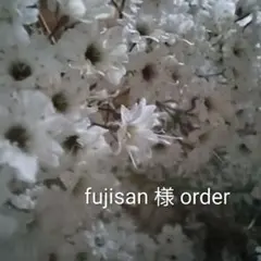 Item thumbnail for item 8fb1f16c-2aa7-4445-9a33-244eb645f257