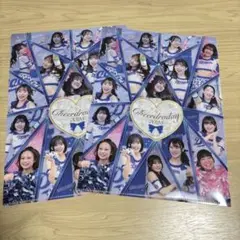 中日ドラゴンズ　チアドラ　クリアファイル2枚