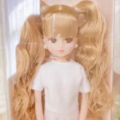 Item thumbnail for item a4e58620-4e0a-4496-8159-b389a0389942