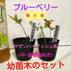 ひい様 リクエスト 2点 まとめ商品