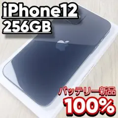 iPhone 12 256GB ブラック SIMフリー バッテリー新品 大容量