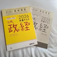 2026 公共・政治・経済 共通テスト