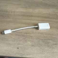 純正 Apple アップル　USB-A to USB-C変換アダプタ A1632