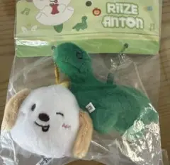 2025年最新】rIize ぬいぐるみ アントンの人気アイテム - メルカリ