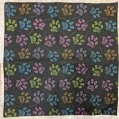 Item thumbnail for item 3d83e37d-1f99-4ac9-8fe2-21dbd709c504