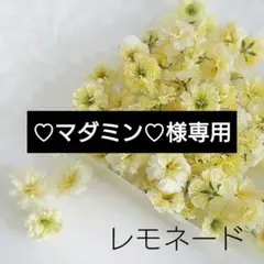 ♡マダミン♡様 リクエスト 2点 まとめ商品