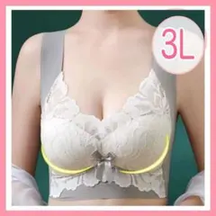 シームレスブラ 小さく見せるブラ ノンワイヤーブラ ナイトブラ 3L XXL