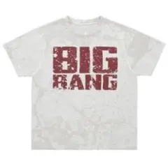 【新品未使用】BIGBANG 0.TO.10 THE FINAL Tシャツ 白
