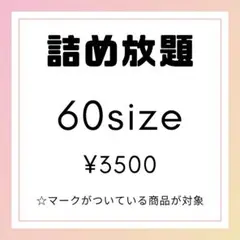 ☆詰め放題　60サイズ