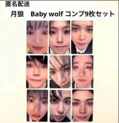 &TEAM 月狼　Go in Blind トレカ　ソロ　ベビーウルフコンプリート