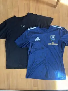 Item thumbnail for item 66ef027c-8a86-4f17-8cb6-2f05d983b7e0