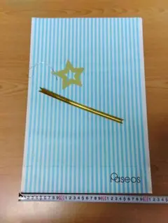 Item thumbnail for item 12ba2c14-dc8e-41f7-8b16-ac9e71064ead