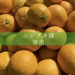 ニジブタ様専用　レモンレモネード