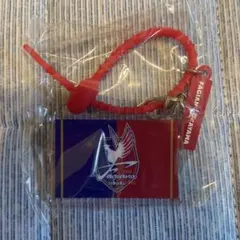 ファジアーノ岡山 アクリルキーホルダー ストラップ