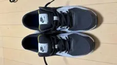 Nike Air Max スニーカー ブラック/ブルー