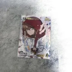 名探偵コナン　灰原哀&シェリー