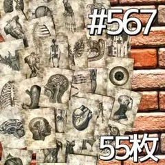 2025年最新】気になる方はご購入をお控え下さい。の人気アイテム