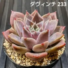 瑠華k様 リクエスト 3点 まとめ商品