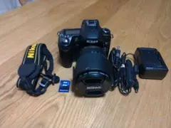 ⭐️初心者向け⭐️ニコン D80 CCD搭載 入門機 一眼レフ ニコン 風景画