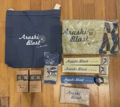 嵐 Arashi Blast in Miyagi グッズまとめ売り