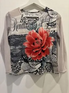 袖シアー花柄プリント長袖トップス