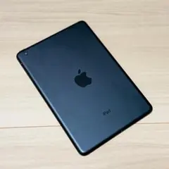 ipad mini 5 cellular 256