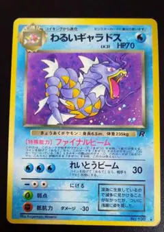 2025年最新】わるいギャラドスの人気アイテム - メルカリ