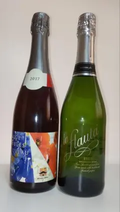 スパークリングワイン セット (フランス・赤 & スペイン・白辛口) 750mlのサムネイル
