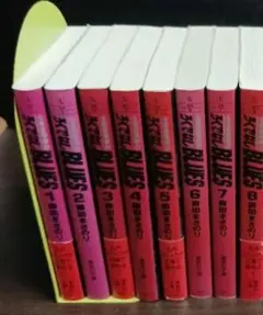 ろくでなしBLUES 文庫版17冊 非全巻まとめセット