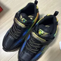 Item thumbnail for item 1ed90e10-5e1b-4706-a3c5-f4c9fff1f040