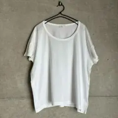 最終価格 SUNSPEL サンスペル コットンTシャツ