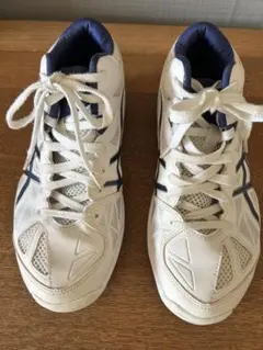 Item thumbnail for item 41095460-4b71-4ebe-9239-b4ce917f7db5