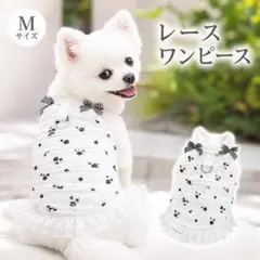 犬服 ワンピース ハーネス付き 韓国風 レース 小型犬 Mのサムネイル