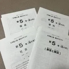 2026年最新】sapix 組分けテスト 新5年の人気アイテム - メルカリ