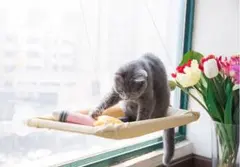 送料込#新品#猫 ベッド ハンモック 吸盤タイプ ネコ窓 日光浴 キャット 室内のサムネイル