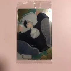 ウィンドブレーカー　ウエハースカード　桜遥