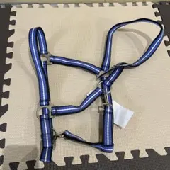 Item thumbnail for item 00fa03b0-06f7-4d44-b84b-0ef8c357840f