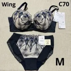 Item thumbnail for item 8c1620ee-88a5-499b-909a-419623dcbdaa