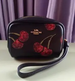 COACHジェス クロスボディ ウィズ ディスコ スター プリント - メルカリ