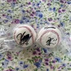 ベイスターズ プロ野球選手 直筆サイン入りボール 2個セットのサムネイル