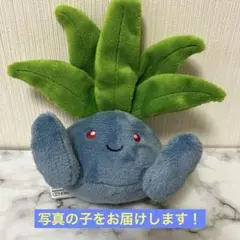 ポケットモンスター　ポケモン ナゾノクサ　ぬいぐるみ やさしいきもち