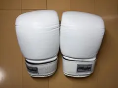 Item thumbnail for item 61f4e671-0d72-4199-9f8a-92e84cc93a0c